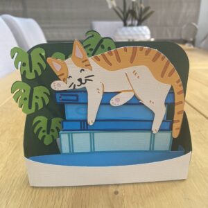 3D Cat on Books Card