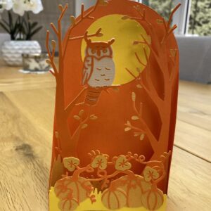 3D Owl and Pumpkin Card