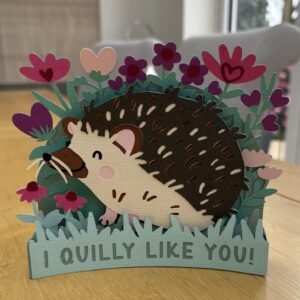 3D Floral Hedgehog